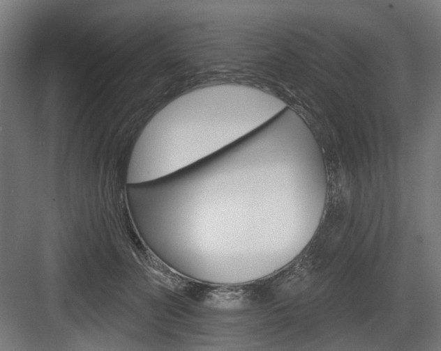 X0000083990606200702160732