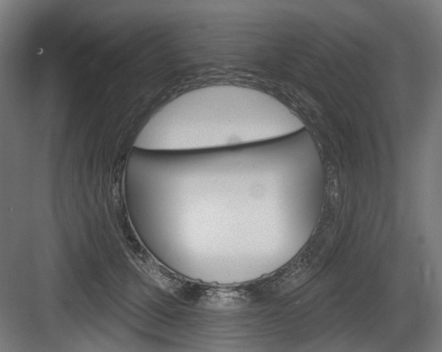 X0000083990607200702160732