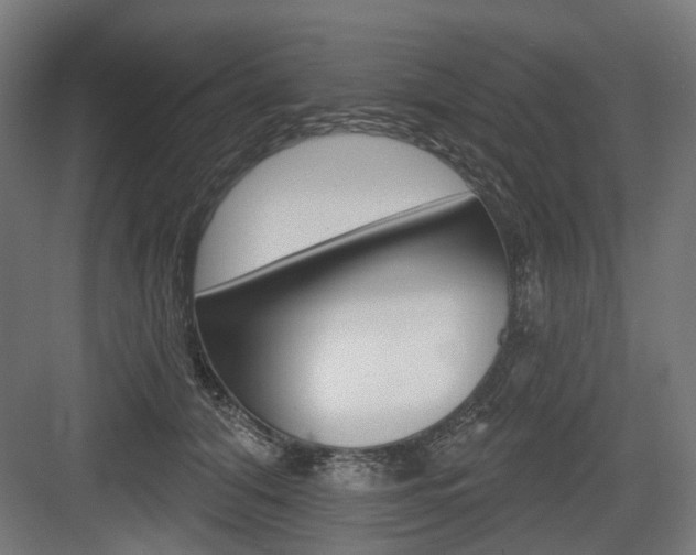 X0000083990608200702160732