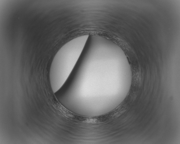 X0000083990609200702160732