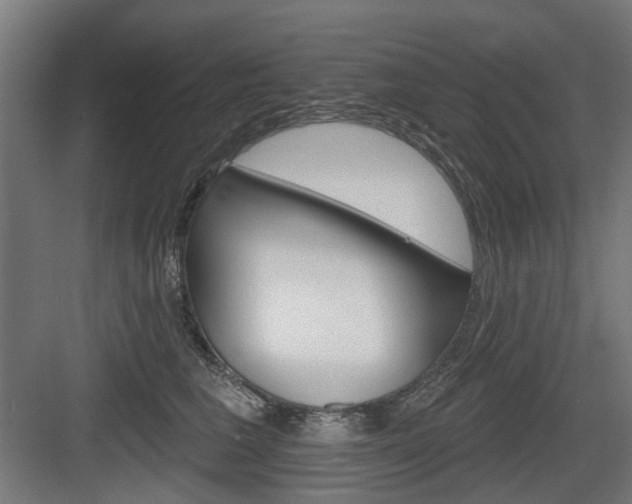 X0000083990613200702160732