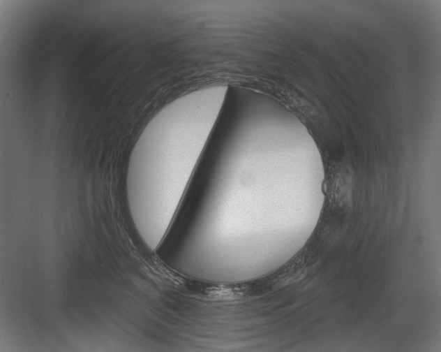 X0000083990616200702160732