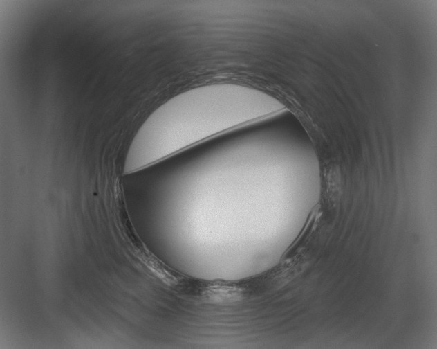 X0000083990617200702160732
