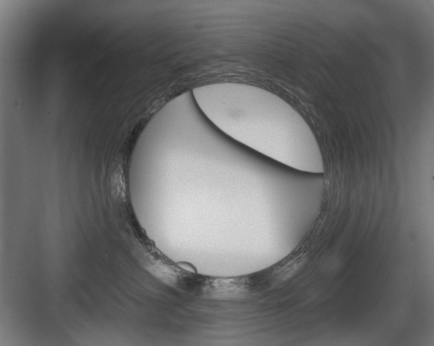 X0000083990622200702160732