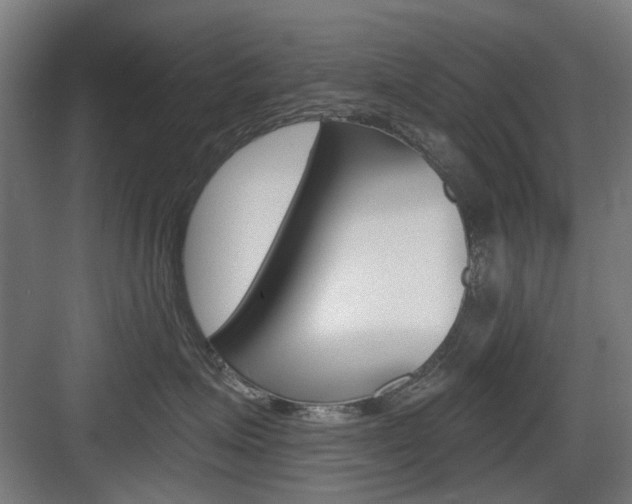 X0000083990623200702160732