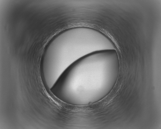 X0000083990625200702160731