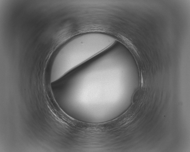 X0000083990627200702160731