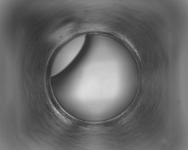 X0000083990629200702160731