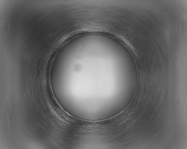 X0000083990631200702160731