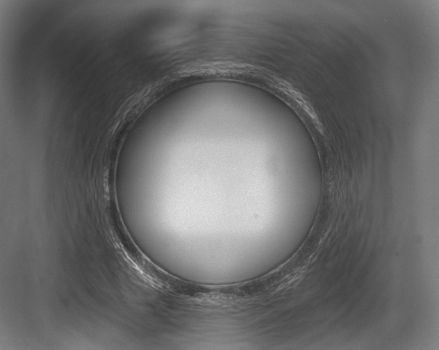 X0000083990633200702160731