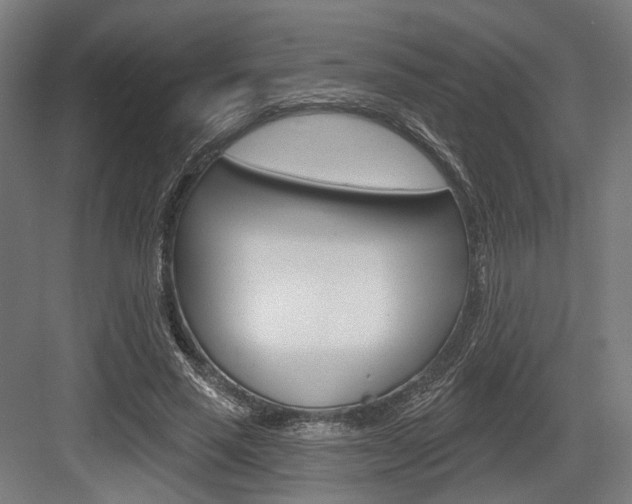X0000083990637200702160731