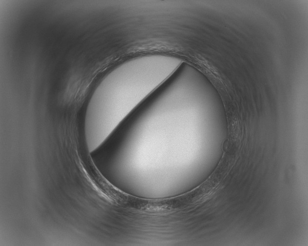 X0000083990638200702160731