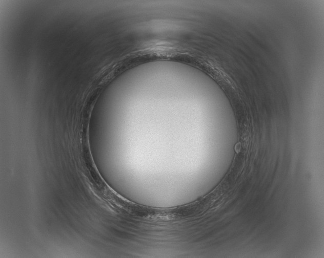 X0000083990639200702160732