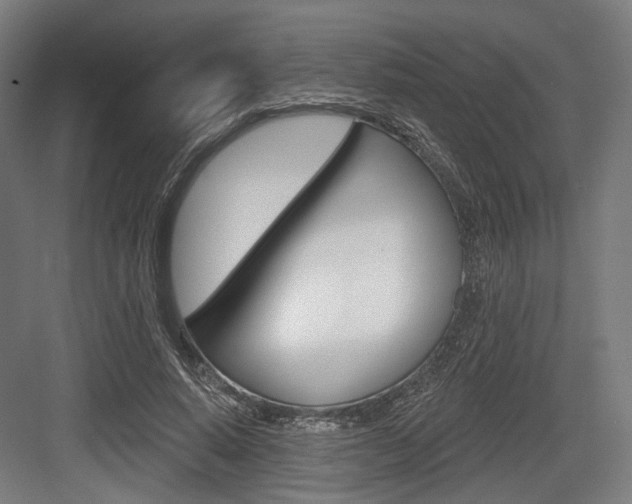 X0000083990640200702160732