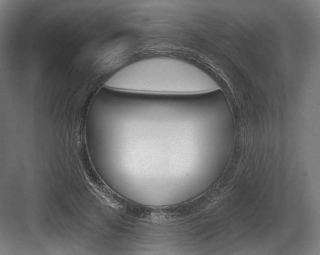 X0000083990641200702160732