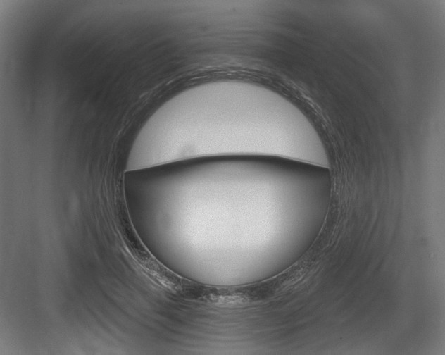 X0000083990645200702160732