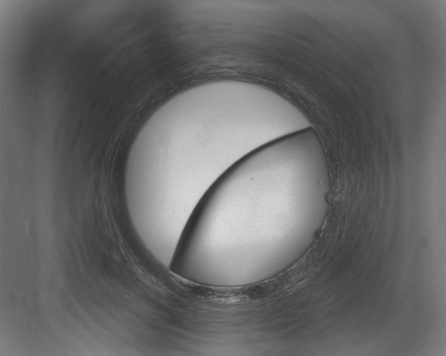 X0000083990646200702160732