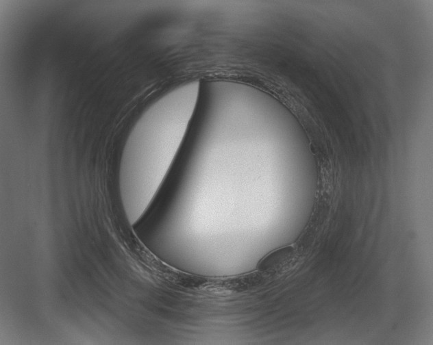 X0000083990648200702160732