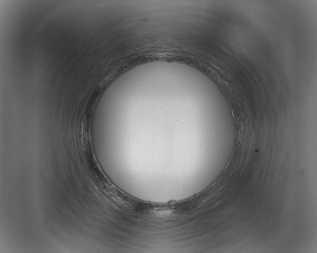 X0000083990651200702160732