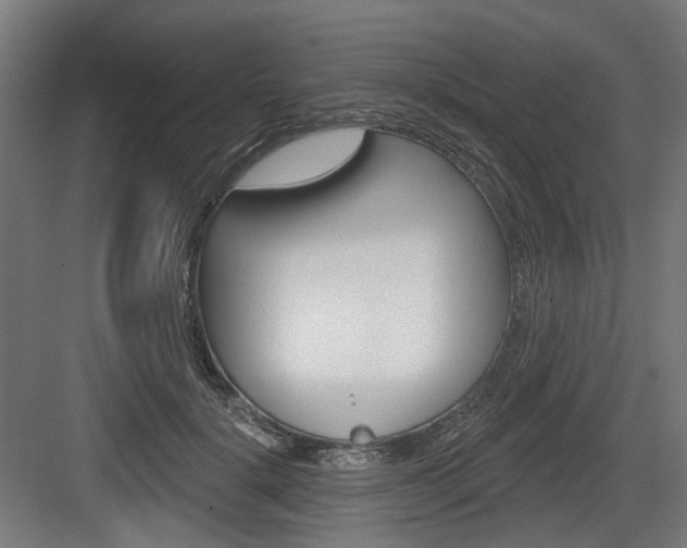 X0000083990652200702160732