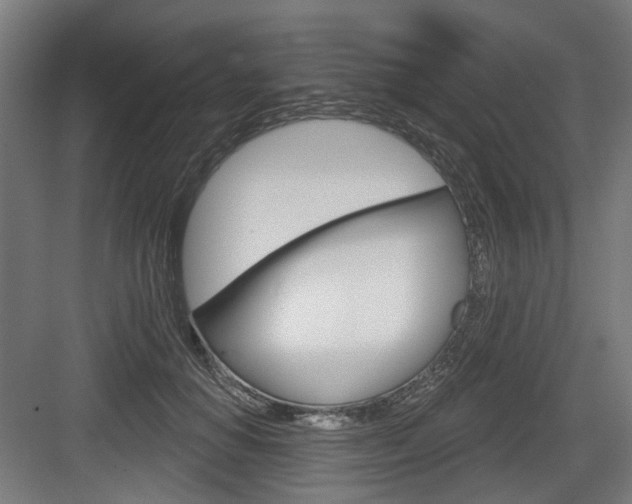 X0000083990654200702160732
