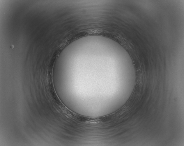 X0000083990655200702160732