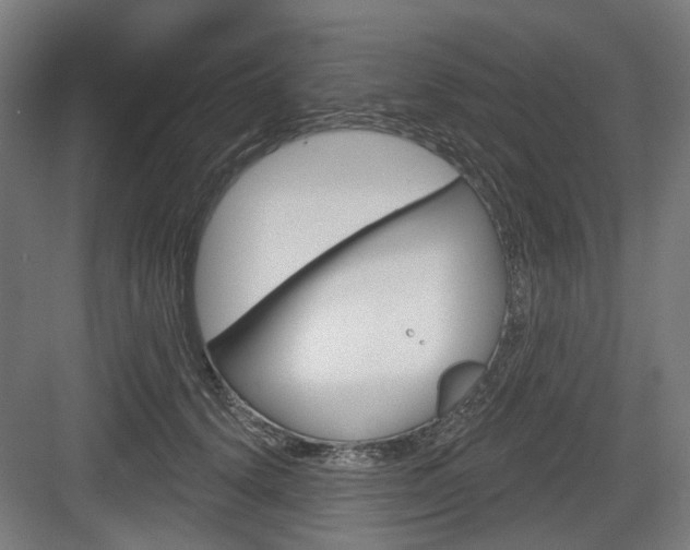 X0000083990656200702160732