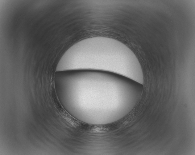 X0000083990657200702160732