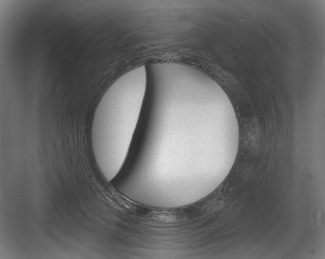 X0000083990658200702160732