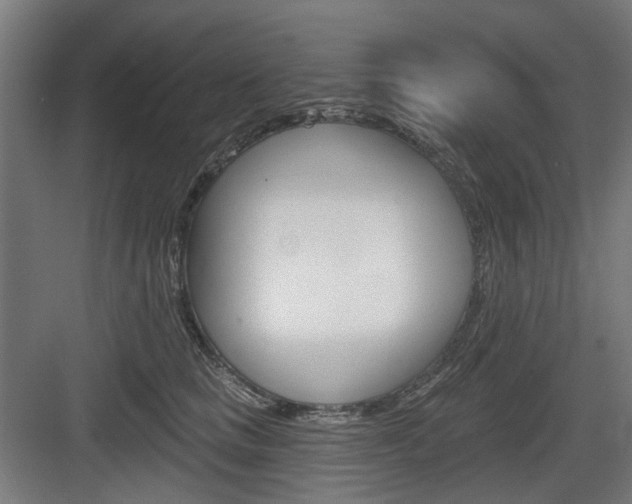 X0000083990661200702160732