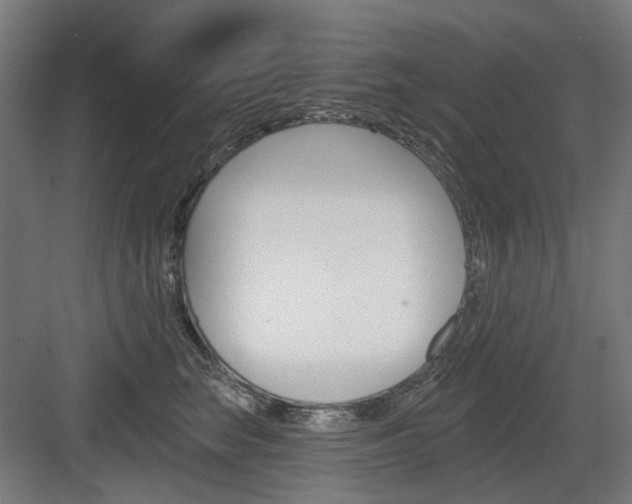 X0000083990663200702160732