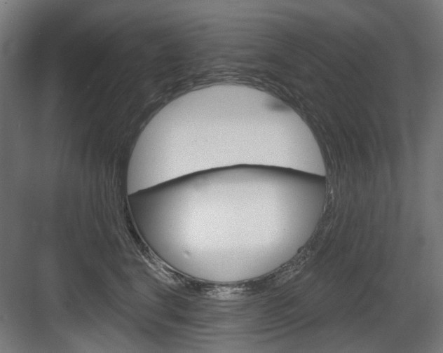 X0000083990664200702160732