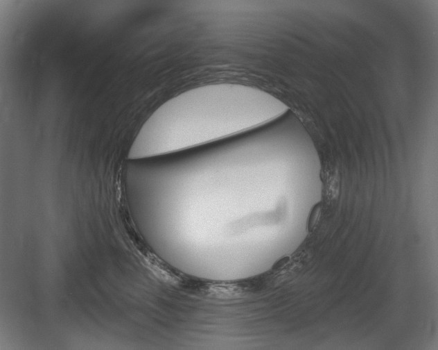 X0000083990666200702160732