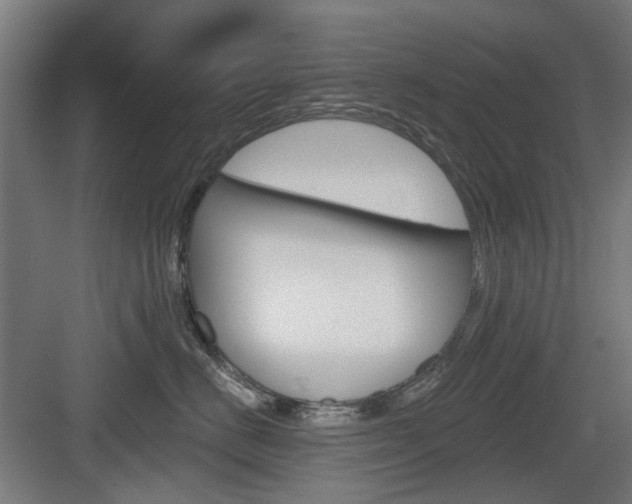X0000083990670200702160732