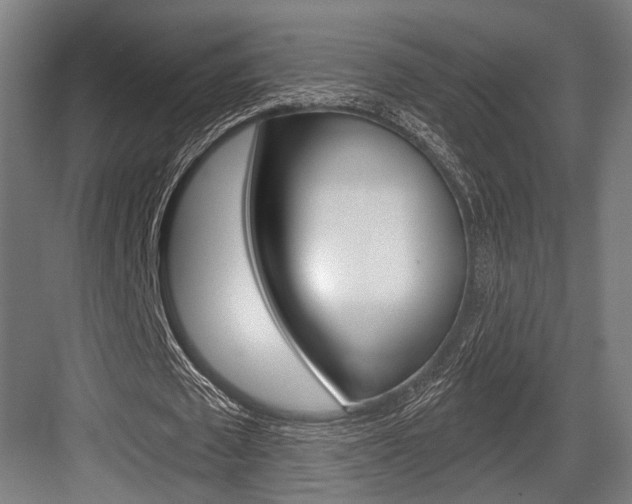 X0000083990673200702160731