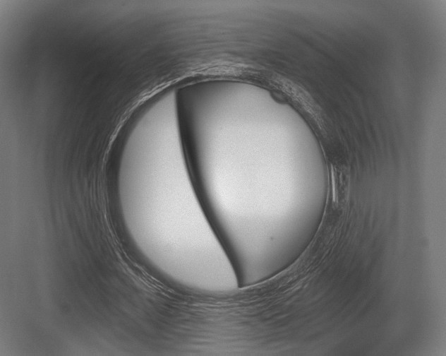 X0000083990675200702160731