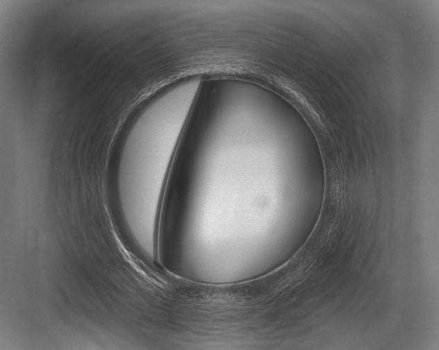 X0000083990677200702160731