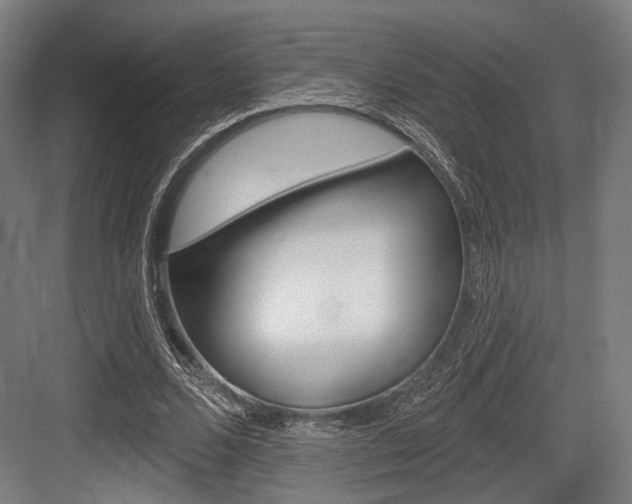 X0000083990680200702160731