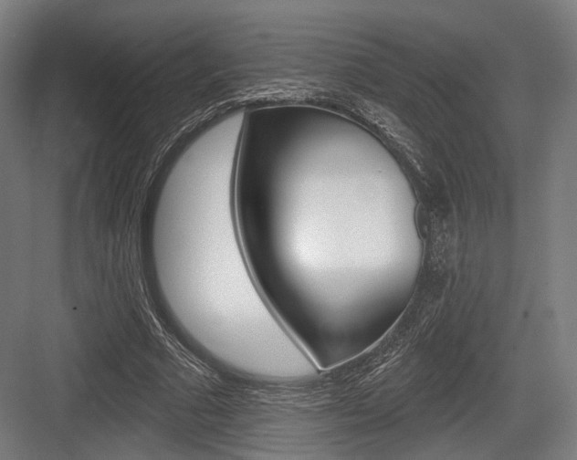 X0000083990681200702160731