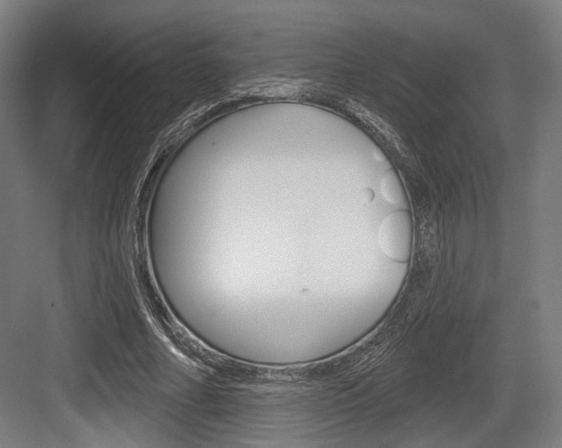X0000083990682200702160731