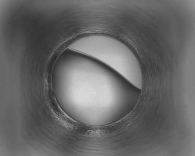 X0000083990688200702160731