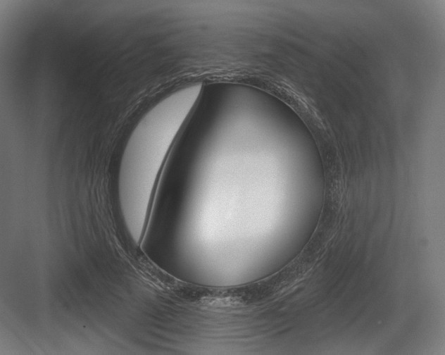 X0000083990689200702160731