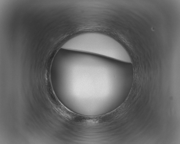 X0000083990692200702160731