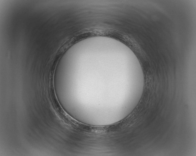 X0000083990694200702160731