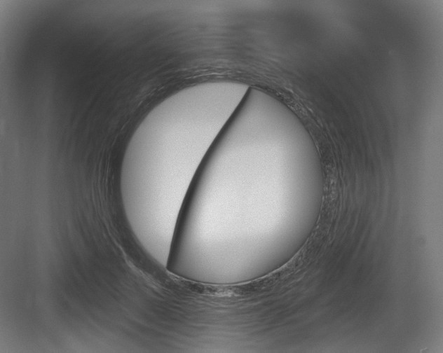 X0000083990695200702160731