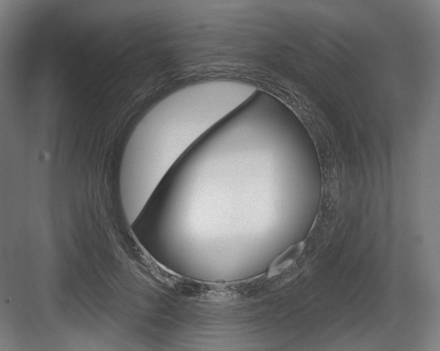 X0000083990696200702160731