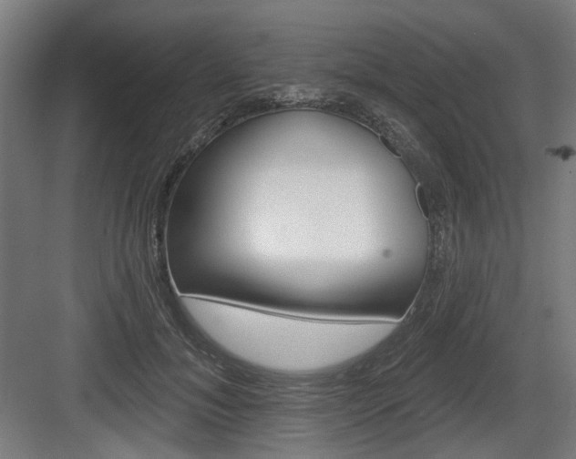 X0000083990700200702160731