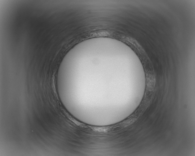 X0000083990701200702160731