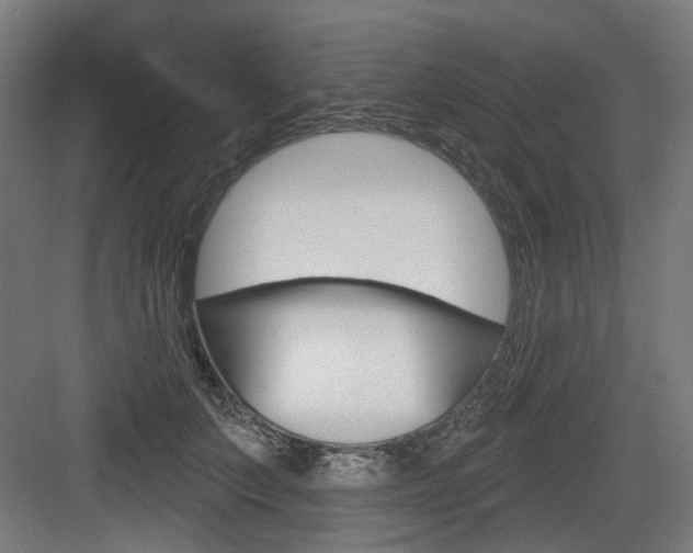 X0000083990703200702160731