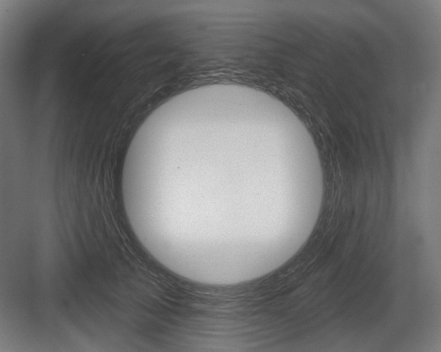 X0000083990705200702160731